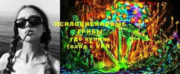 марки lsd Гусь-Хрустальный